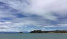 碧海蓝天在线观看,在线观看，畅游海洋生态之美